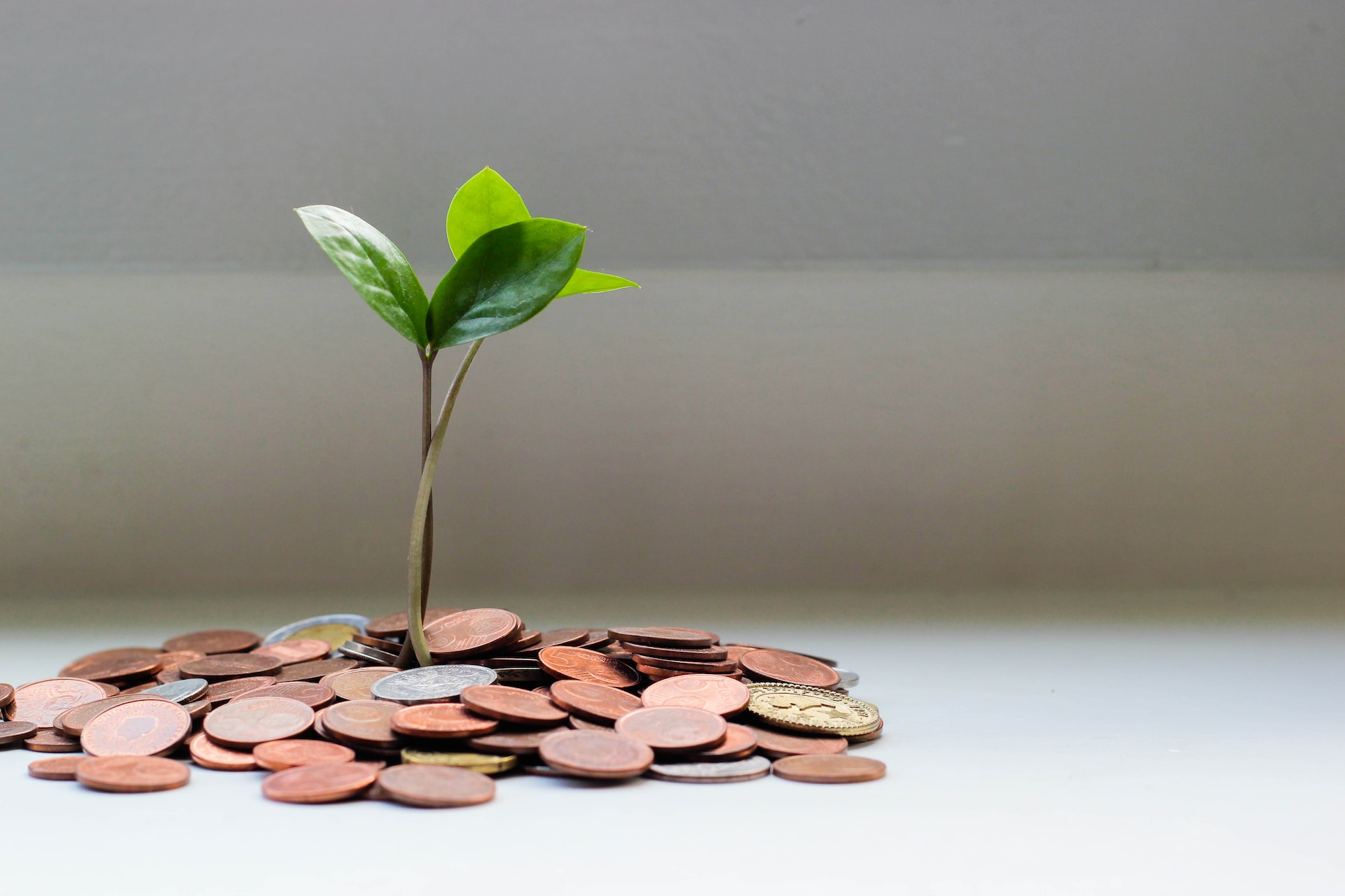 What Are The Best Investments If My Income Is Low? - SaverLife